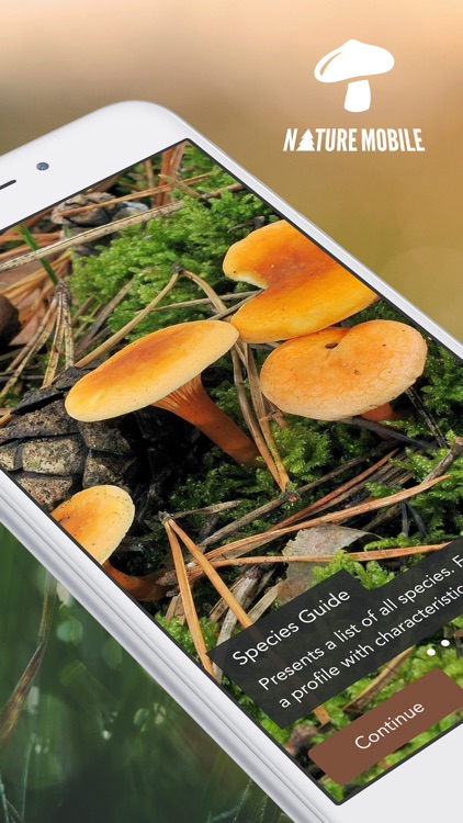Mushroom LITE - Field Guide