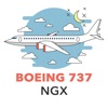 Boeing 737 NGX Checklist