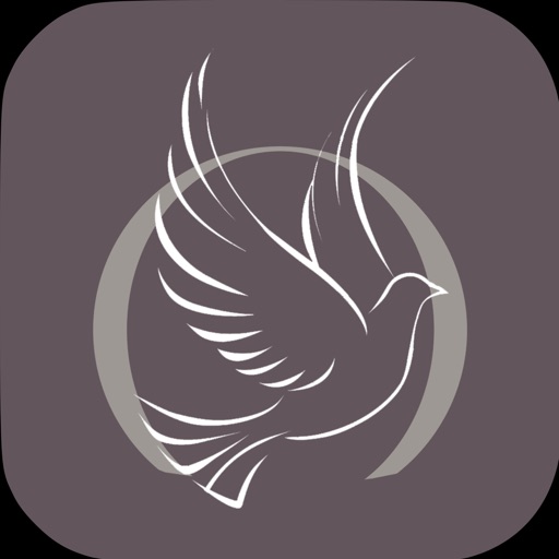 Iglesia Nueva Atacama