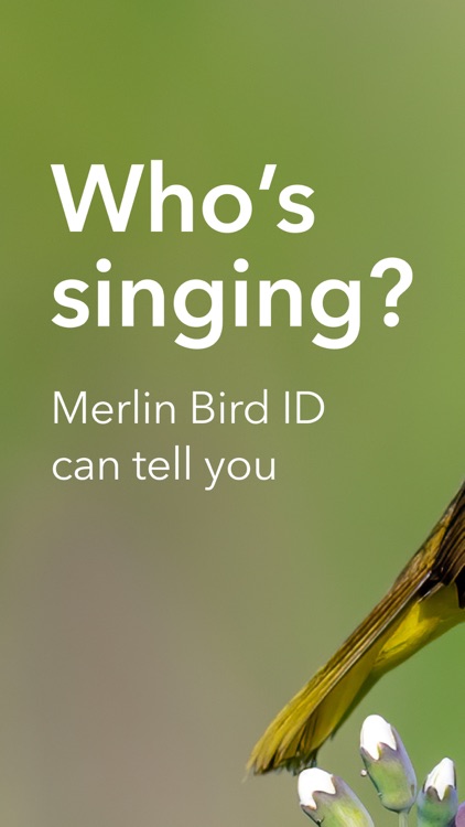 Merlin Bird ID by Cornell Lab screenshot-0