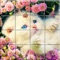 Tile Puzzle Cats is a free puzzle game which includes a collection of cute Cats            photos