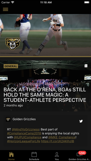 Golden Grizzlies Live