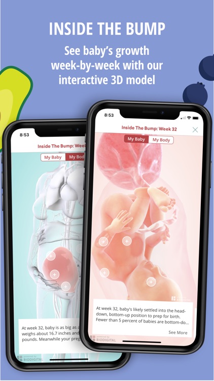 The Bump - Pregnancy Tracker
