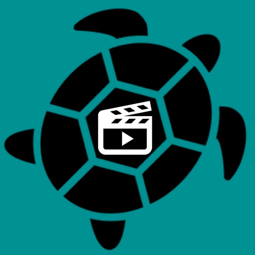 慢速视频监视器logo