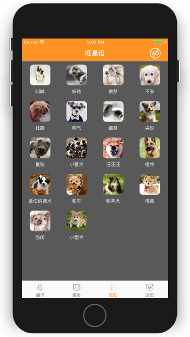 人猫狗翻译 - 人狗猫咪,动物宠物互相交流 screenshot 2