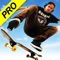 Skateboard Party 3 Pro