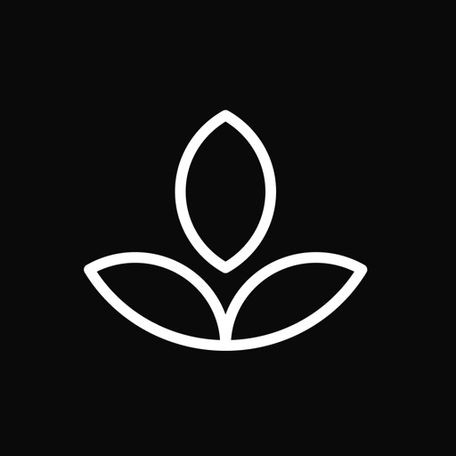Emphasis - Focus Timer