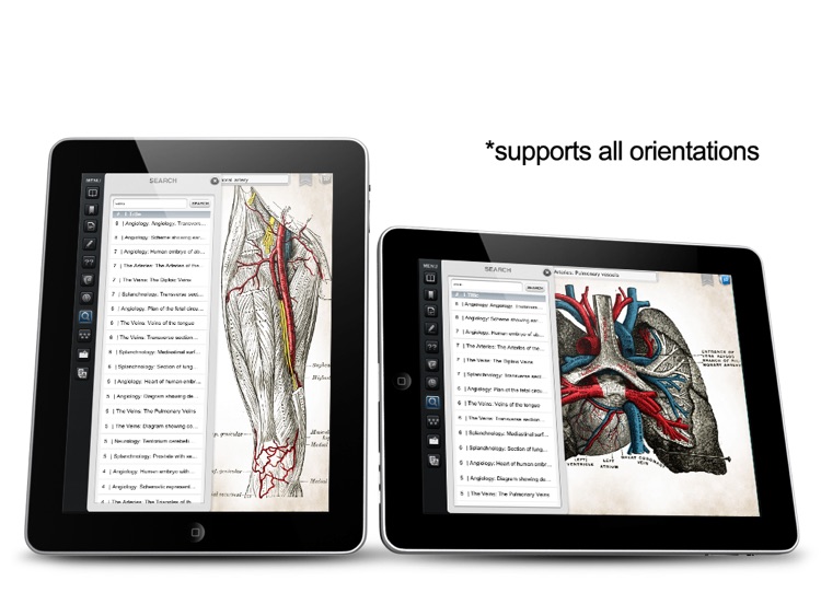 Grays Anatomy Premium for iPad screenshot-3