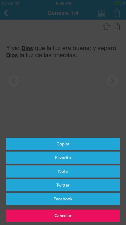 Concordancia