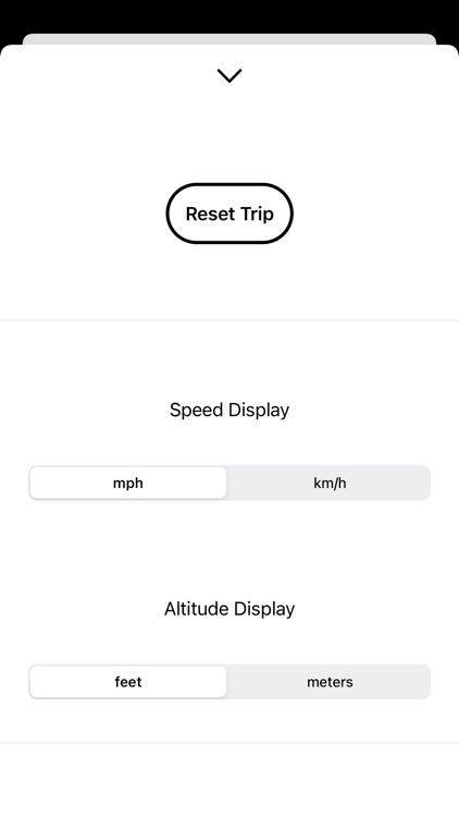 Speedy Pro - Speedometer screenshot-4