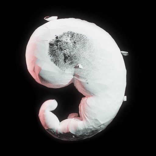 Reniform App Download