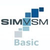 SimVSM Basic