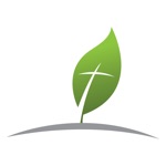 GraceLife Church Edmonton