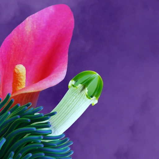 TalkTogether Download