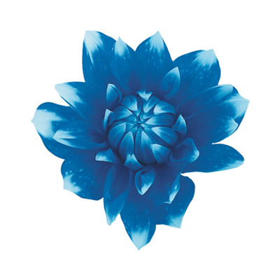 リラクゼーションサロンルリ