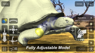 Tortoise Mannequin screenshot 2
