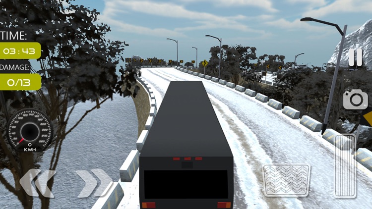 Offroad Tourist Bus Sim screenshot-4