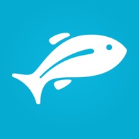 Prévisions de pêche - Fishbox pour PC