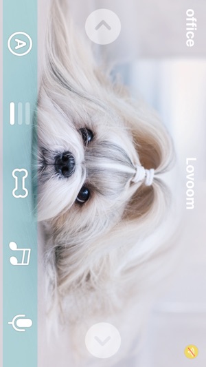 Lovoom(圖3)-速報App