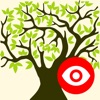 Icon Family Tree Explorer Viewer