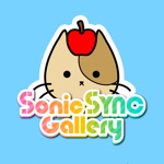 SonicSYNC Gallery