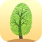 Discover the names of forest trees only with a picture of leaves