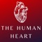 Heart Anatomy and Physiology is a pocket textbook available to anyone who desires to learn about the cardiac system