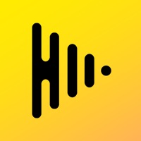 BASS BOOSTER,AMP,SOUND BOOSTER