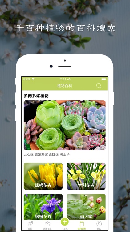 花草集 - 你的家庭盆栽多肉植物养护专家 screenshot-3