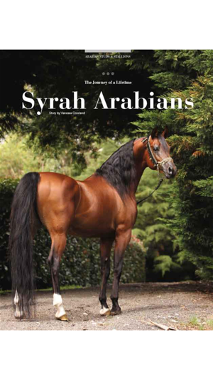 Arabian Studs and Stallions(圖3)-速報App