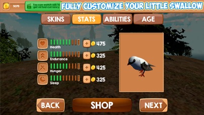 Swallow Bird Simulator 3D screenshot 4