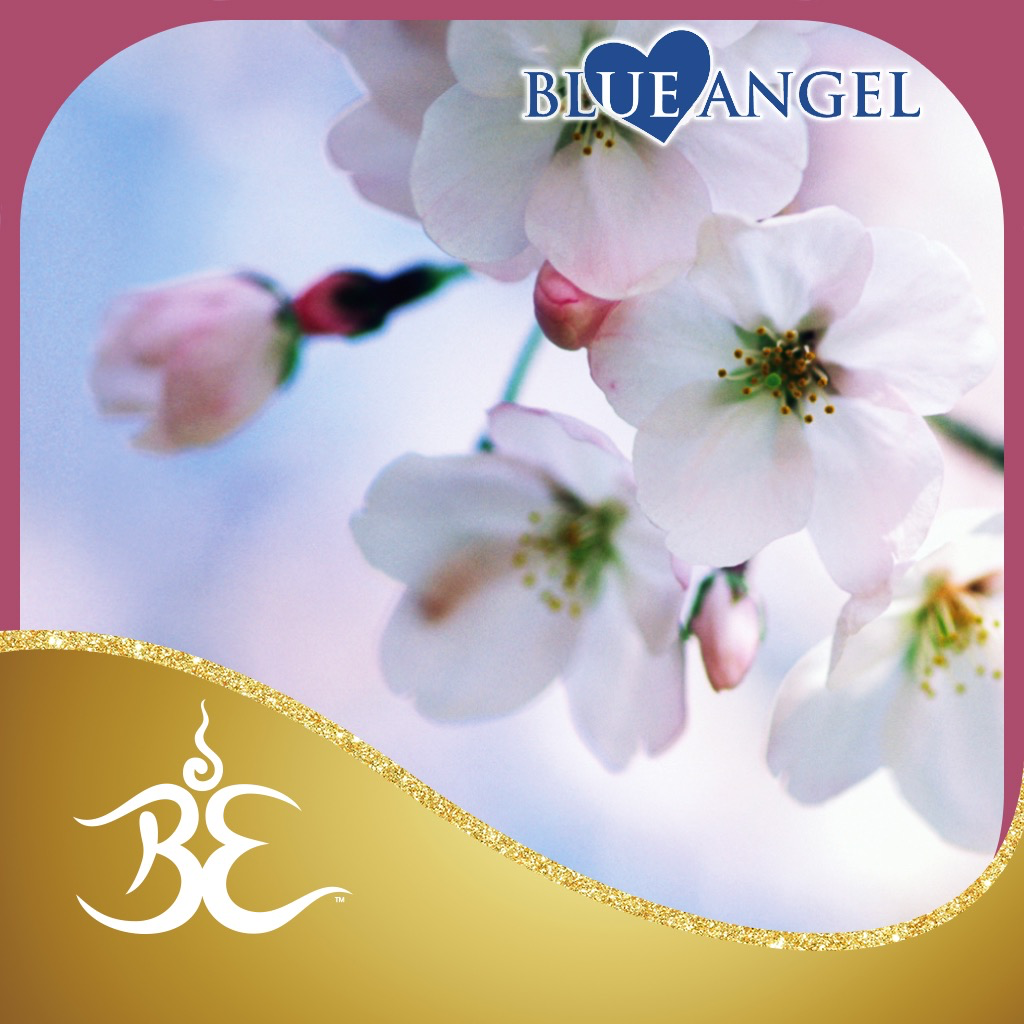 Get Healing Music for the Soul for iOS, iPhone, iPad Aso Report