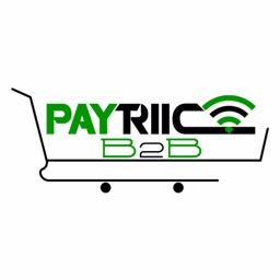 B2B Paytriic