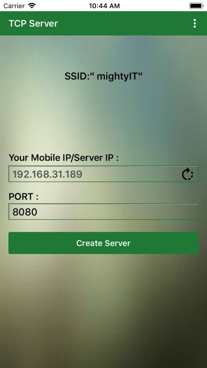 TCP Server screenshot-0