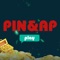 Introducing the Pin & Ap Play game