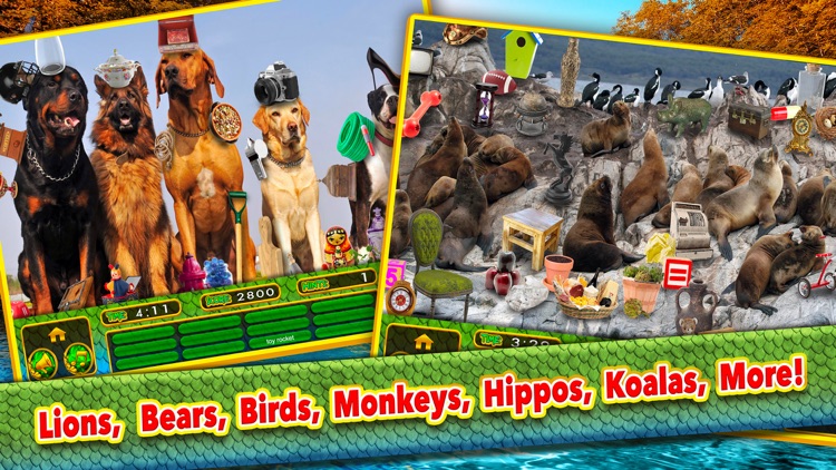 Hidden Object Animal Spy Quest screenshot-3