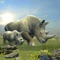 A young rhino awakens in the wild