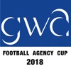 FAC Football Agency Cup