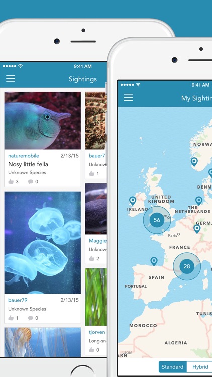Fishes PRO - Field Guide screenshot-4