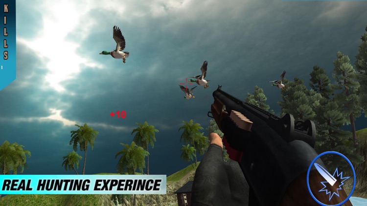 Duck Shooting Adventures