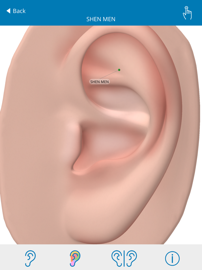 Auriculo 360 - The Living Ear