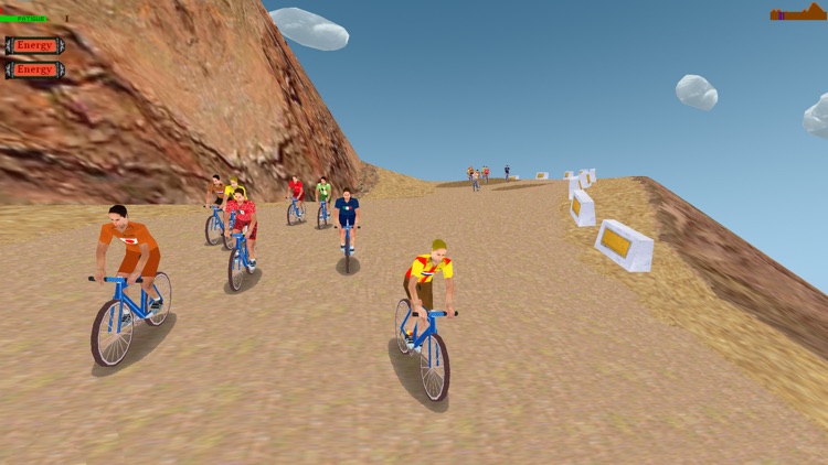 Mountain Bike 3D game