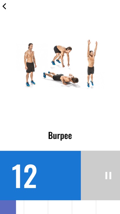 The 30 Day Burpee Challenge