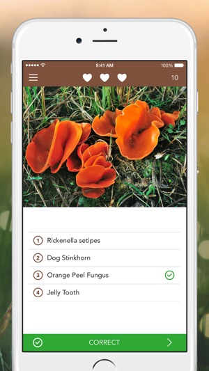 Mushroom LITE - Field Guide(圖4)-速報App