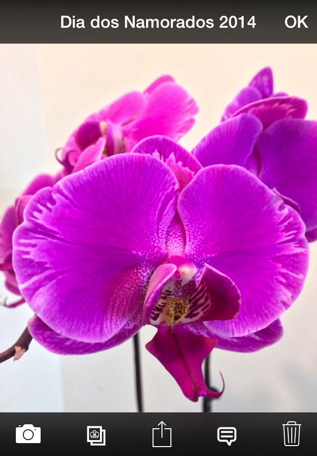 Orchid Album screenshot 3