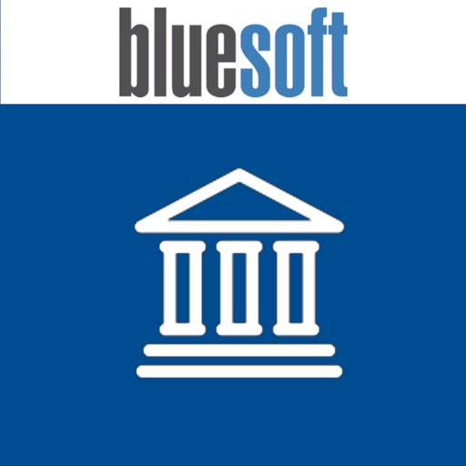 Bluesoft Financeiro Download