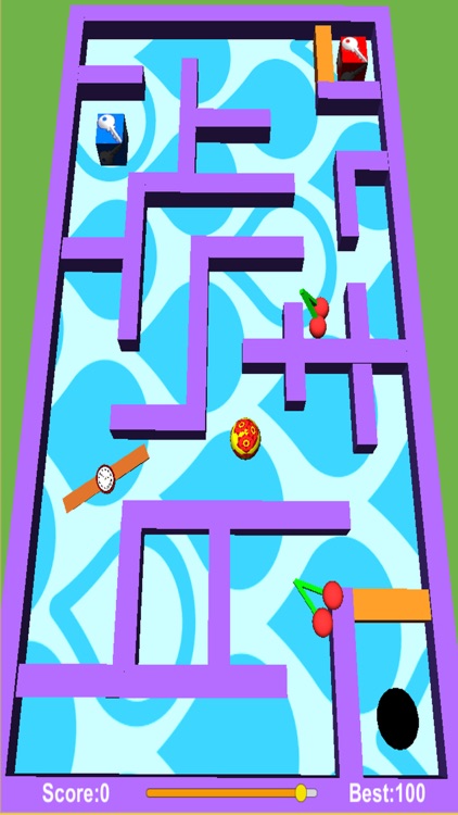 Mini Maze Pro