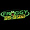 Froggy 96 is Southeast Missouri’s number one country leader