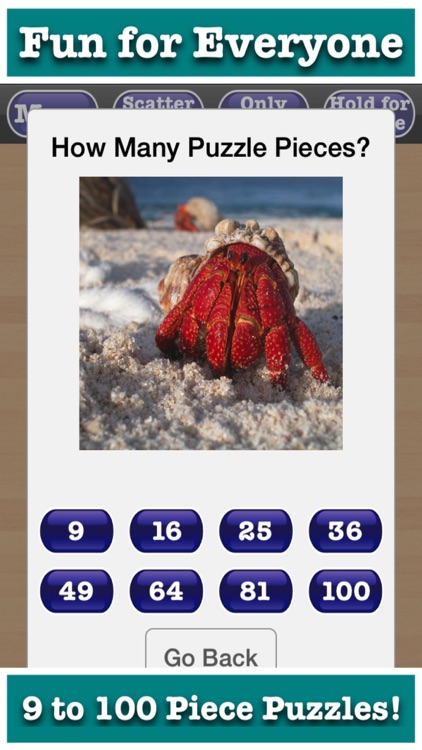 Hourly Jigsaw Puzzles