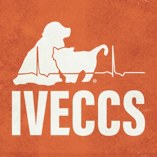 IVECCS 2021 Download